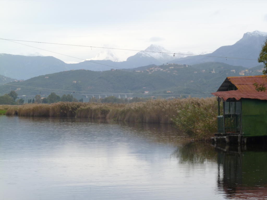 Le Ginestre B & B Massarosa Buitenkant foto